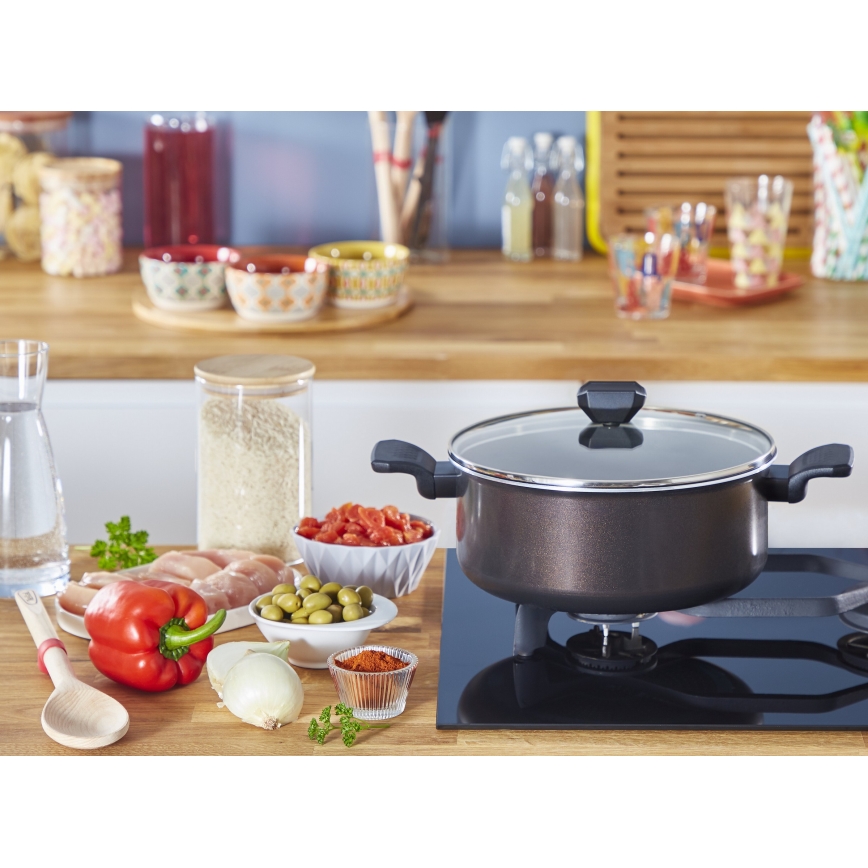 Tefal - Olla con tapa EASY COOK & CLEAN 24 cm