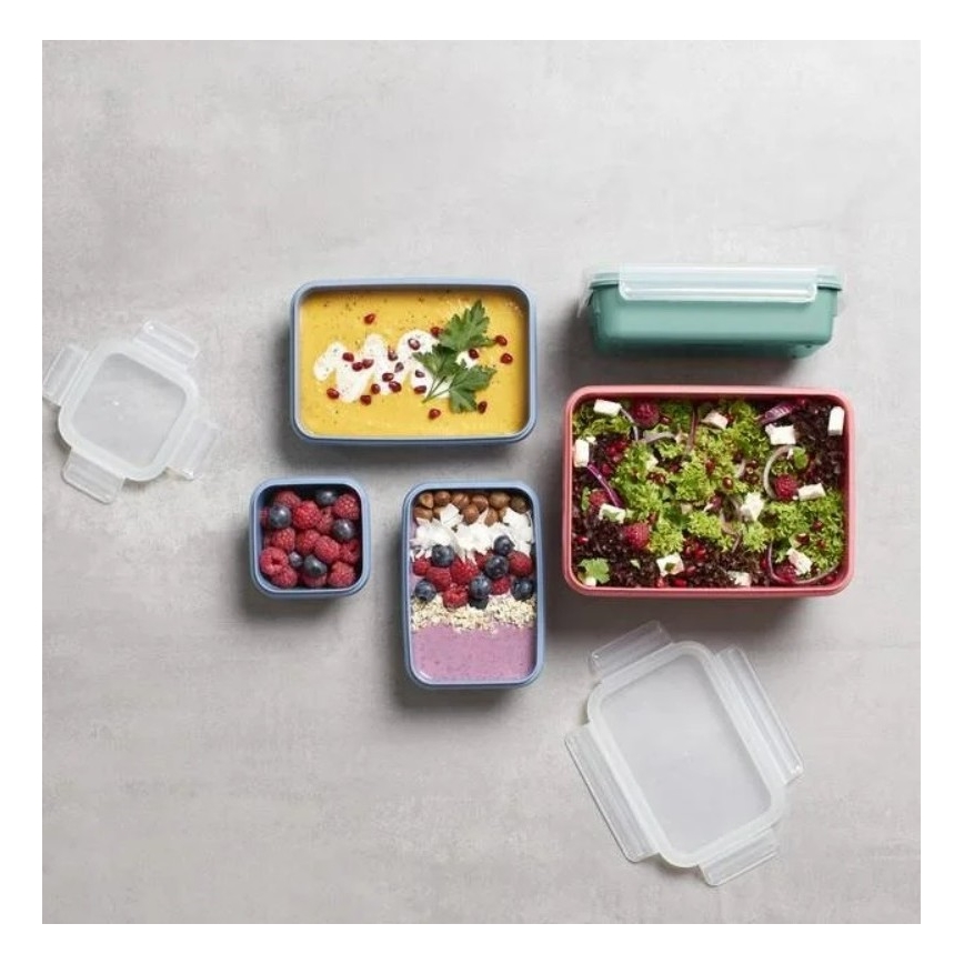 Tefal - Recipiente de comida 0,8 l MSEAL COLOR verde