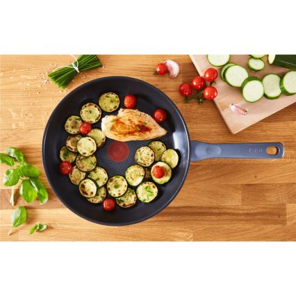 Tefal - Sartén DAILY COOK 28 cm