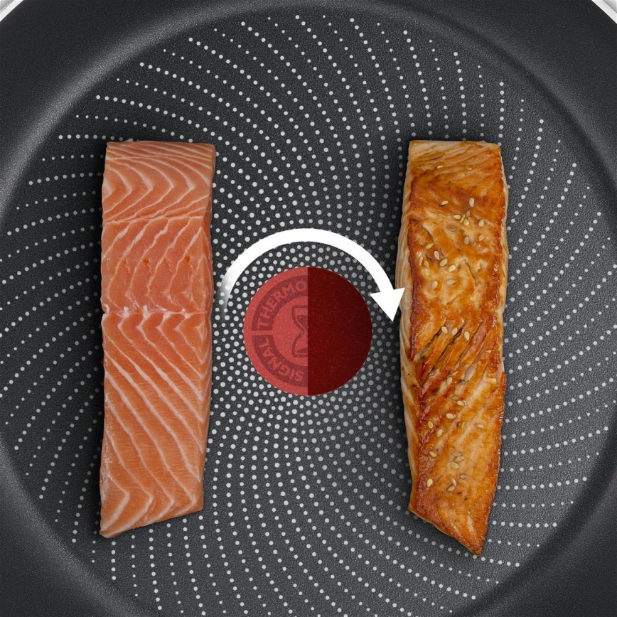 Tefal - Sartén DELICIOUS 28 cm