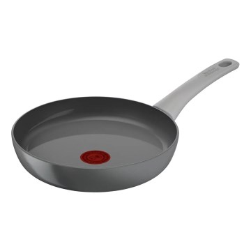 Tefal - Sartén RENEW ON 24 cm