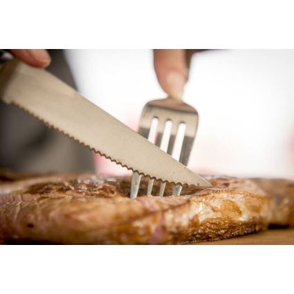 Tefal - Set de 4 cuchillos para filete ICE FORCE de acero inoxidable, 11 cm, cromo brillante/negro