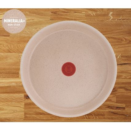 Tefal - Set de cocina INGENIO DELIGHT, 6 piezas