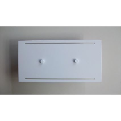 Telefunken 307806TF - Aplique LED para exterior 2xLED/3,5W/230V IP44 blanco