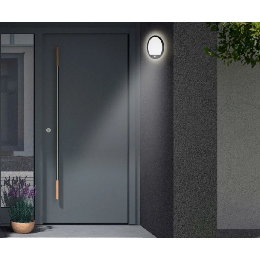 Telefunken 313705TF - Aplique LED de exterior con sensor LED/15W/230V IP44