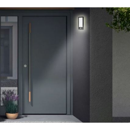 Telefunken 313905TF - Lámpara de pared LED para exterior con sensor LED/16W/230V IP44