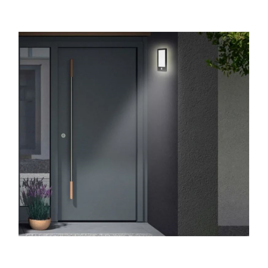 Telefunken 313905TF - Lámpara de pared LED para exterior con sensor LED/16W/230V IP44