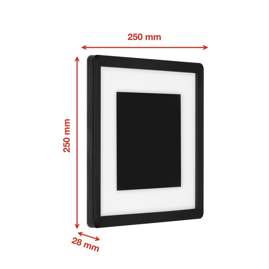 Telefunken 315905TF - Aplique LED de pared para exterior LED/15W/230V IP44 4000K negro