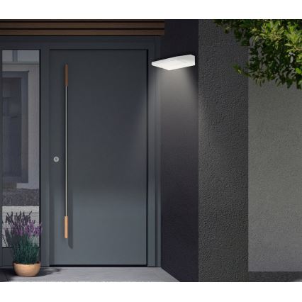 Telefunken - Aplique de pared exterior LED/10W/230V IP44 blanco