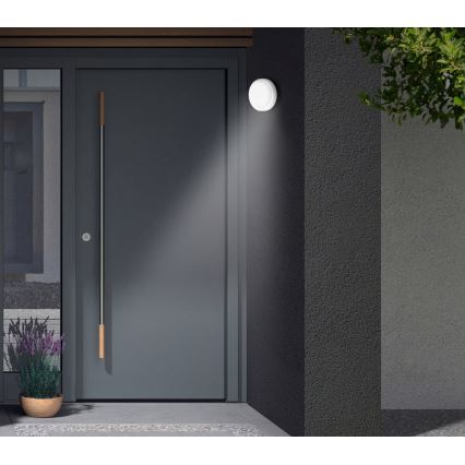 Telefunken - Aplique de pared LED para exterior con sensor crepuscular y detector de movimiento LED/12W/230V IP44 blanco