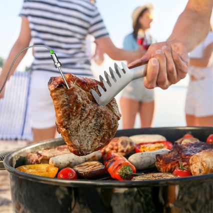 TESLA Electronics Cook - Termómetro digital para carne con sonda 0-400 °C 2xAA IP65