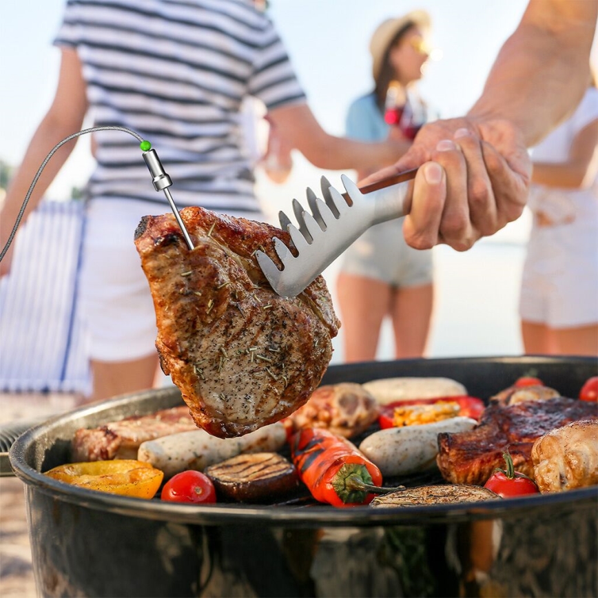 TESLA Electronics Cook - Termómetro digital para carne con sonda 0-400 °C 2xAA IP65