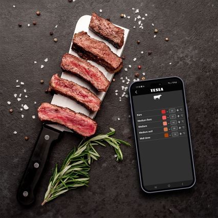TESLA Electronics Cook - Termómetro digital para carne con sonda 0-400 °C 2xAA IP65