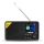 TESLA Electronics - Radio DAB+ FM 5W/4000 mAh negro