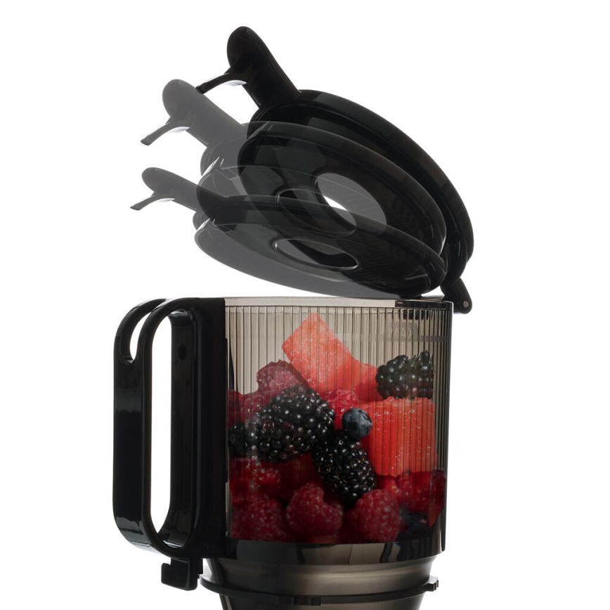 TESLA Electronics SlowJuicer Deluxe - Extractor de jugos lento 250W/230V acero inoxidable