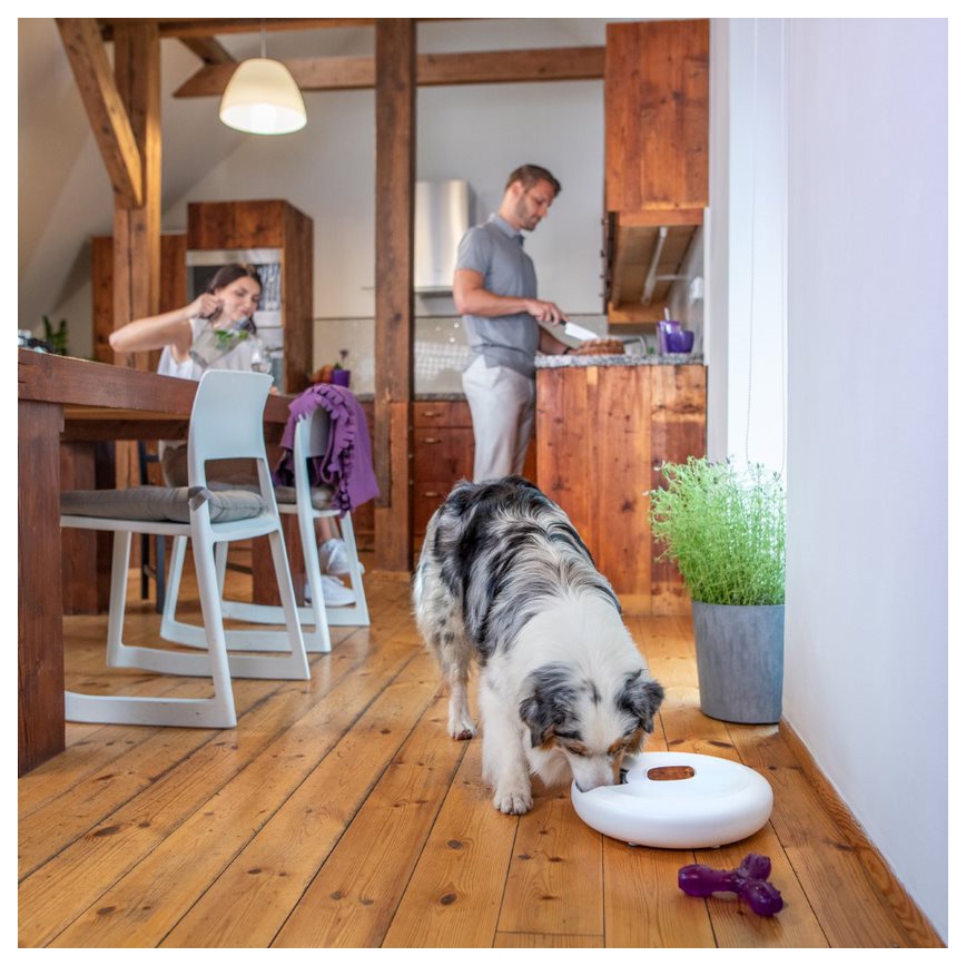 TESLA Inteligente - Alimentador automático inteligente con cámara para mascotas 4 l 5V/3xLR20 Wi-Fi