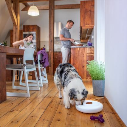 TESLA Smart - Comedero inteligente para mascotas 170 ml 5V