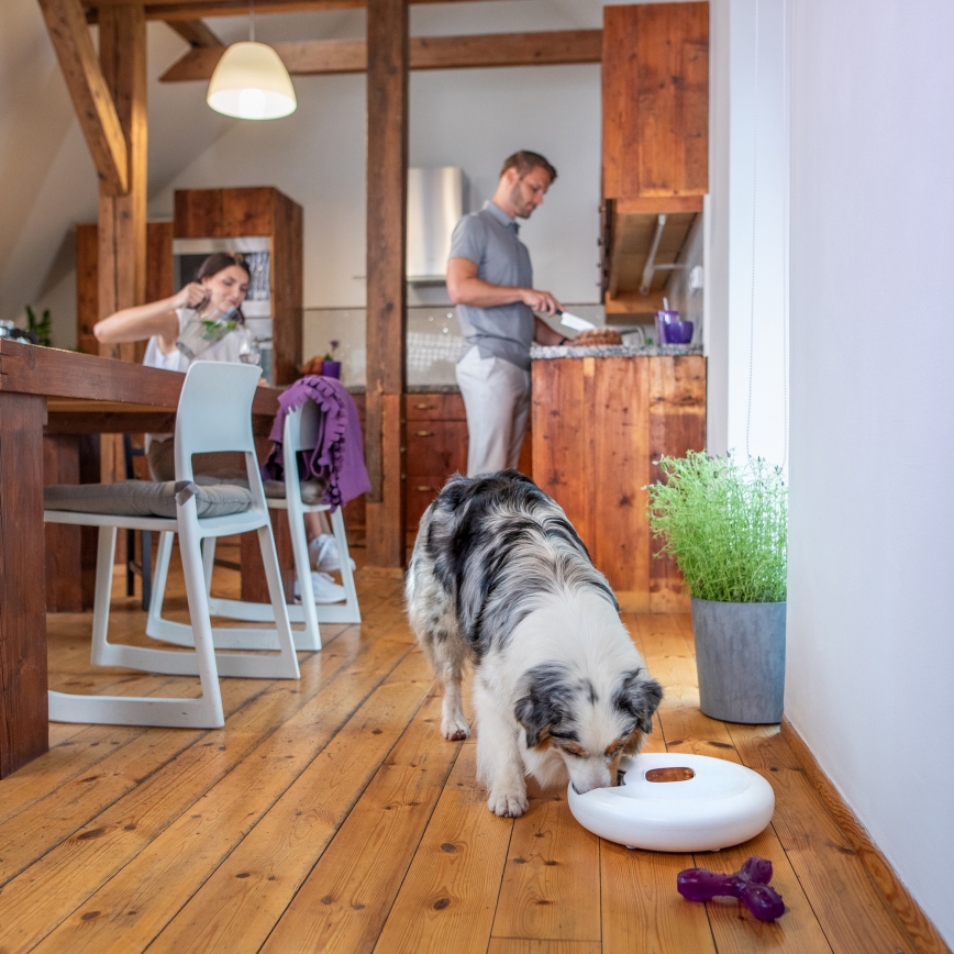 TESLA Smart - Comedero inteligente para mascotas 170 ml 5V