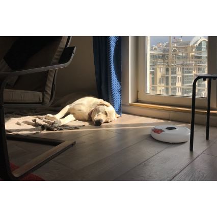 TESLA Smart - Comedero inteligente para mascotas 170 ml 5V