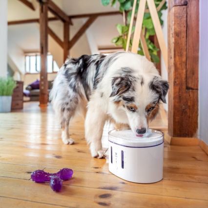 TESLA Smart - Fuente inteligente para mascotas con esterilización UV 2,5 l 5V Wi-Fi