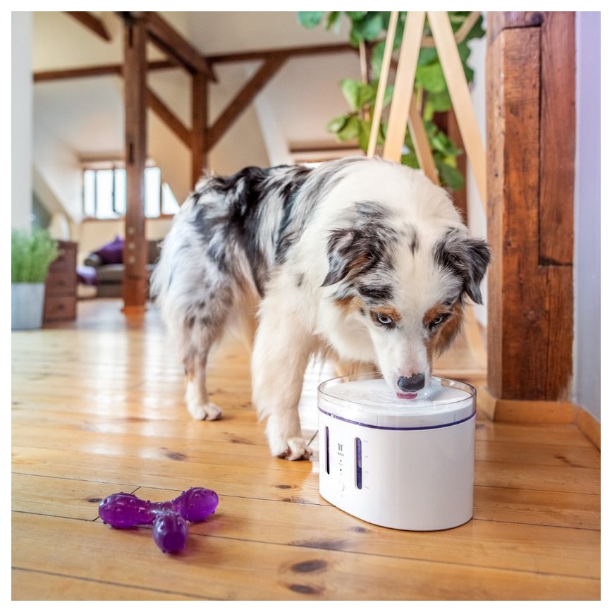 TESLA Smart - Fuente inteligente para mascotas con esterilización UV 2,5 l 5V Wi-Fi