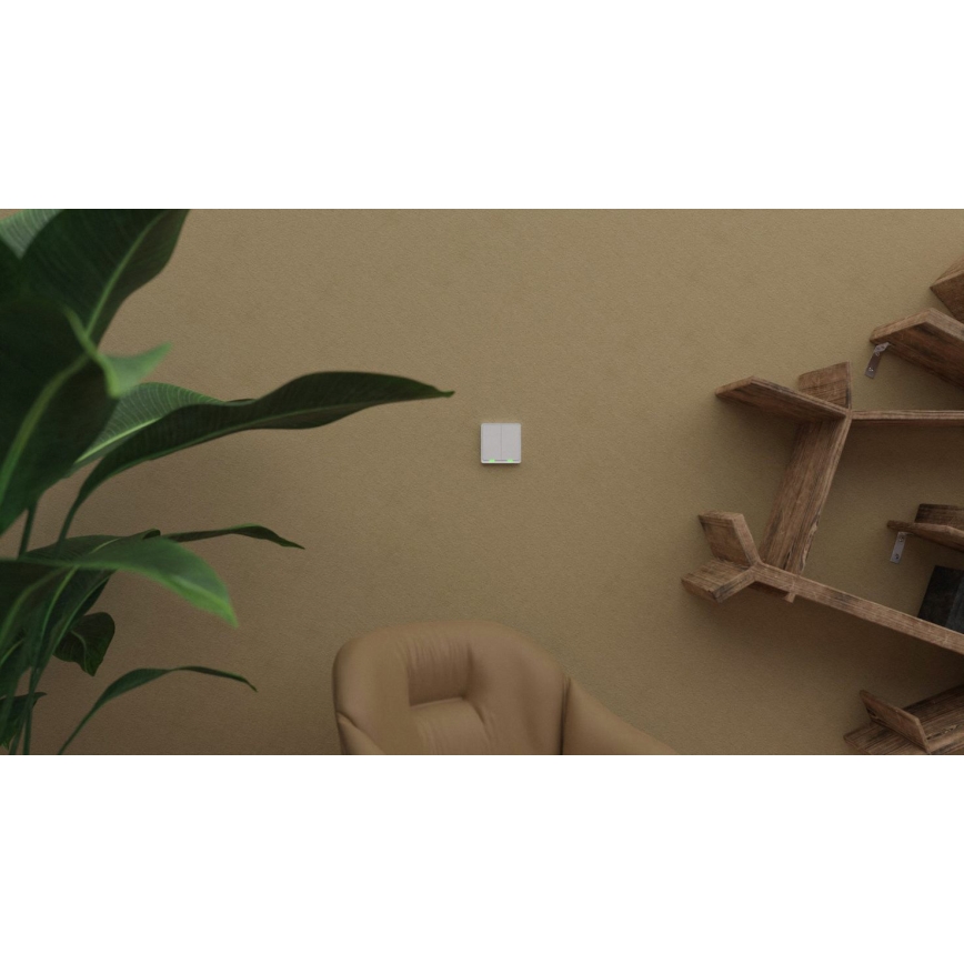 TESLA Smart - Interruptor inalámbrico inteligente para el hogar 2P 1xCR2430 ZigBee