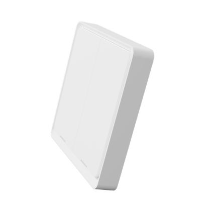 TESLA Smart - Interruptor inalámbrico inteligente para el hogar 2P 1xCR2430 ZigBee