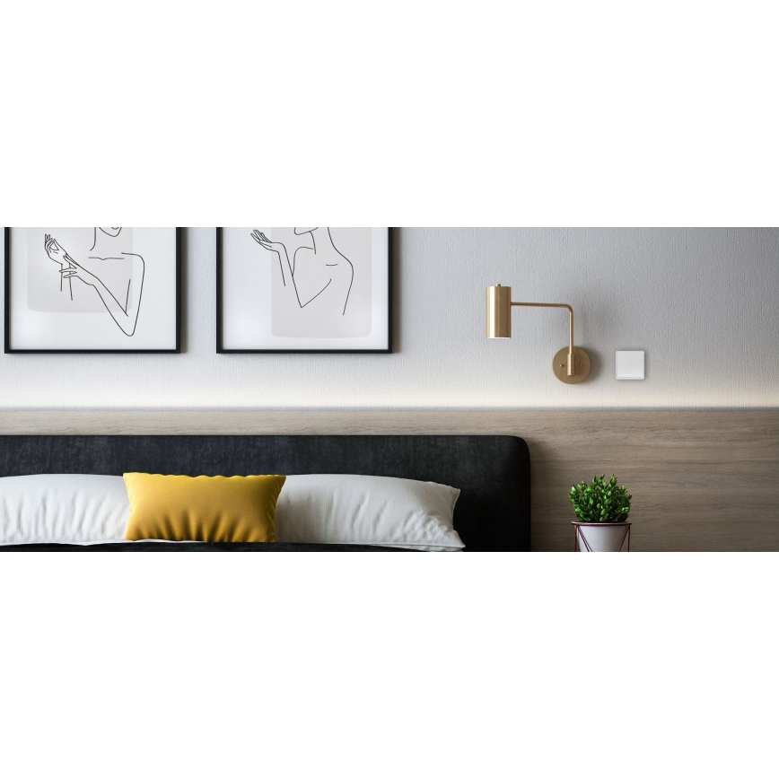 TESLA Smart - Interruptor inalámbrico inteligente para el hogar 2P 1xCR2430 ZigBee