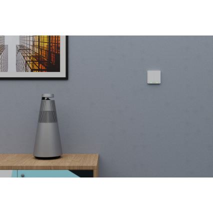 TESLA Smart - Interruptor inalámbrico inteligente para el hogar 2P 1xCR2430 ZigBee