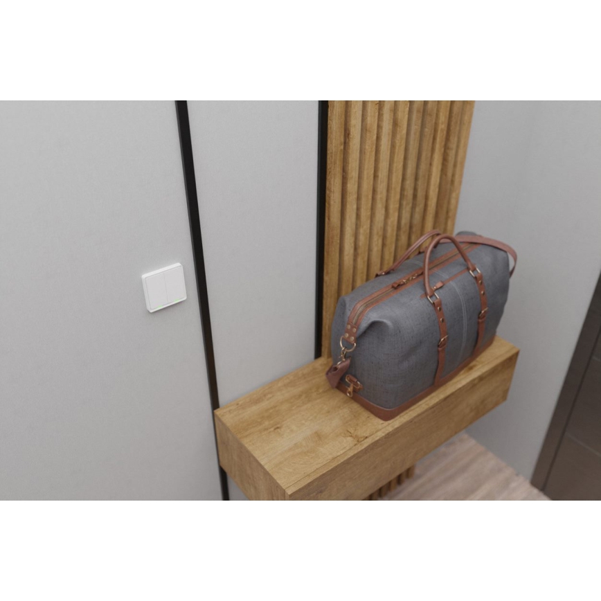 TESLA Smart - Interruptor inalámbrico inteligente para el hogar 2P 1xCR2430 ZigBee
