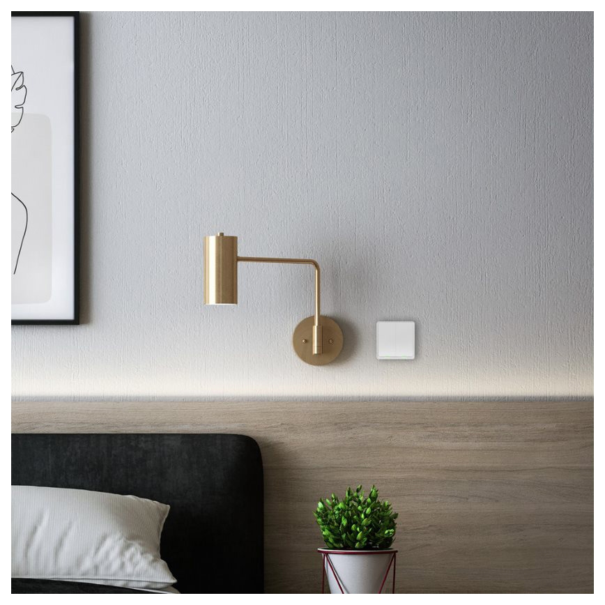 TESLA Smart - Interruptor inalámbrico inteligente para el hogar 2P 1xCR2430 ZigBee