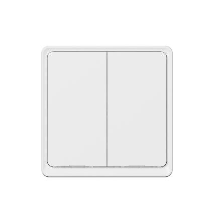 TESLA Smart - Interruptor inalámbrico inteligente para el hogar 2P 1xCR2430 ZigBee