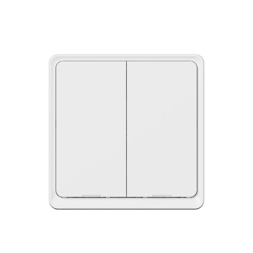 TESLA Smart - Interruptor inalámbrico inteligente para el hogar 2P 1xCR2430 ZigBee