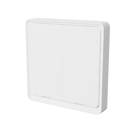 TESLA Smart - Interruptor inalámbrico inteligente para el hogar 2P 1xCR2430 ZigBee
