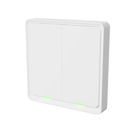 TESLA Smart - Interruptor inalámbrico inteligente para el hogar 2P 1xCR2430 ZigBee
