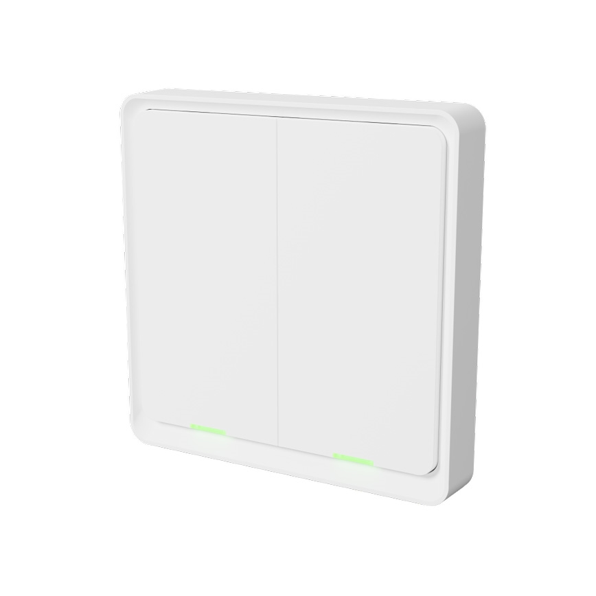 TESLA Smart - Interruptor inalámbrico inteligente para el hogar 2P 1xCR2430 ZigBee