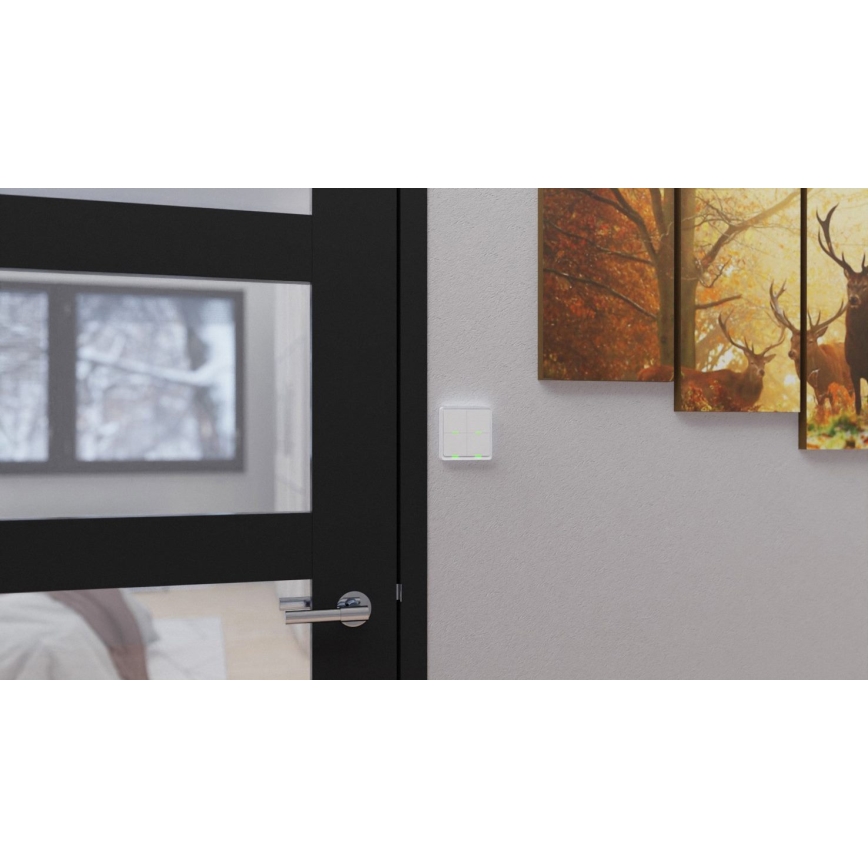 TESLA Smart - Interruptor inalámbrico inteligente para el hogar 4P 1xCR2430 ZigBee