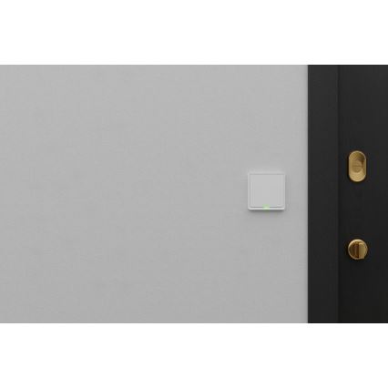 TESLA Smart - Interruptor inteligente para hogar 1P 230V Wi-Fi