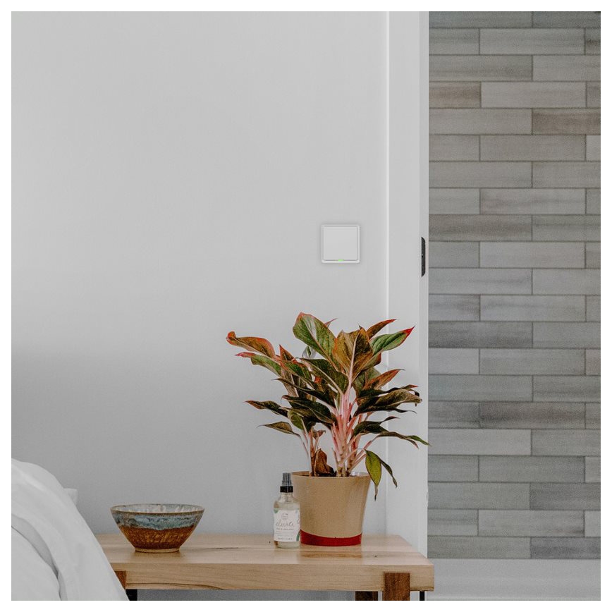 TESLA Smart - Interruptor inteligente para hogar 1P 230V Wi-Fi