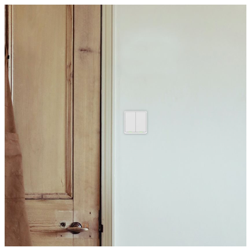 TESLA Smart - Interruptor inteligente para hogar 2P 230V Wi-Fi