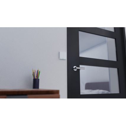 TESLA Smart - Interruptor inteligente para hogar 2P 230V Wi-Fi