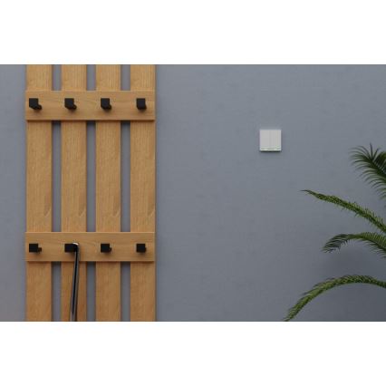 TESLA Smart - Interruptor inteligente para hogar 2P 230V Wi-Fi