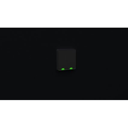 TESLA Smart - Interruptor inteligente para hogar 2P 230V Wi-Fi
