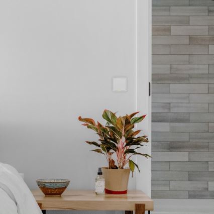TESLA Smart - Interruptor residencial inteligente 1P 230V Wi-Fi