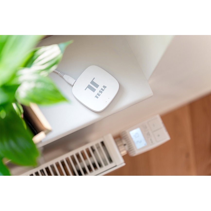 TESLA Smart - Puerta de enlace inteligente Hub Smart Zigbee Wi-Fi