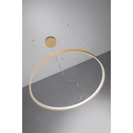 Thoro TH.174 - Lámpara LED colgante RIO LED/50W/230V CRI 90 3000K diá. 78 cm dorado