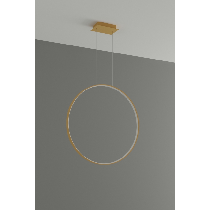 Thoro TH.175 - Lámpara LED colgante RIO LED/50W/230V CRI 90 3000K diá. 78 cm dorado