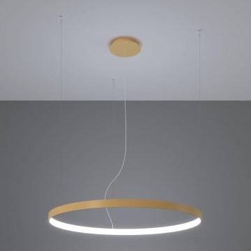 Thoro TH.181 - LED  Lámpara colgante RIO LED /50W/230V CRI 95 4000K diá. 78 cm dorado