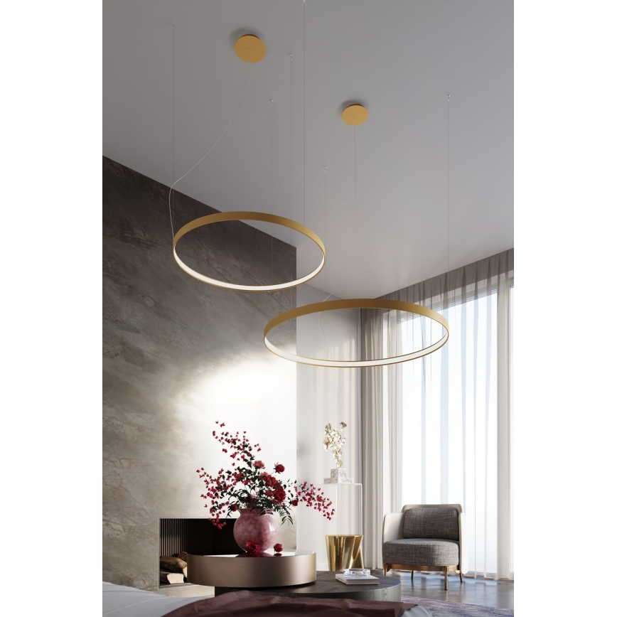 Thoro TH.181 - LED  Lámpara colgante RIO LED /50W/230V CRI 95 4000K diá. 78 cm dorado