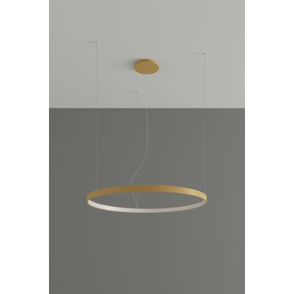 Thoro TH.181 - LED  Lámpara colgante RIO LED /50W/230V CRI 95 4000K diá. 78 cm dorado